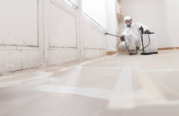 24/7 Emergency Mold Removal experts in Cranbury, NJ